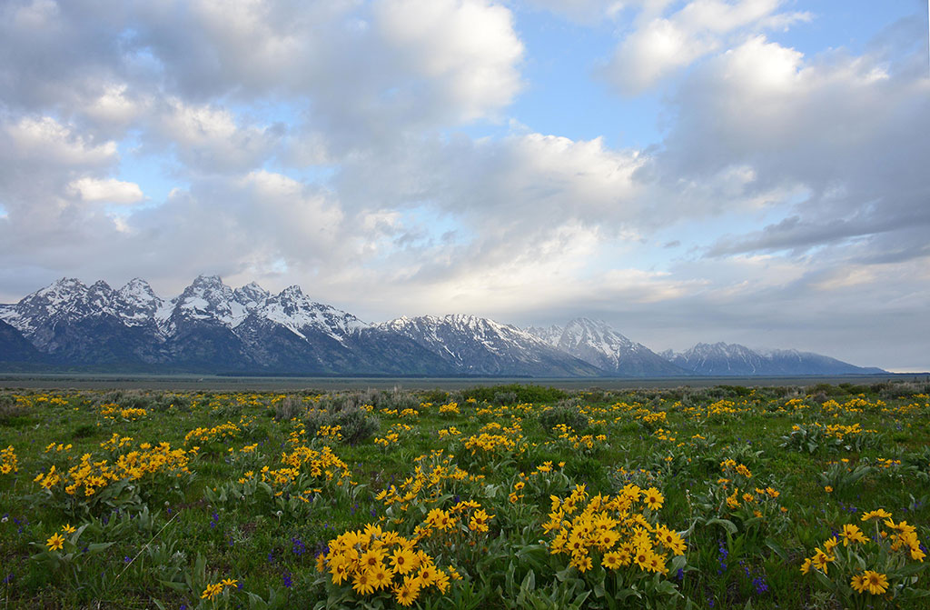 Antelope Flats