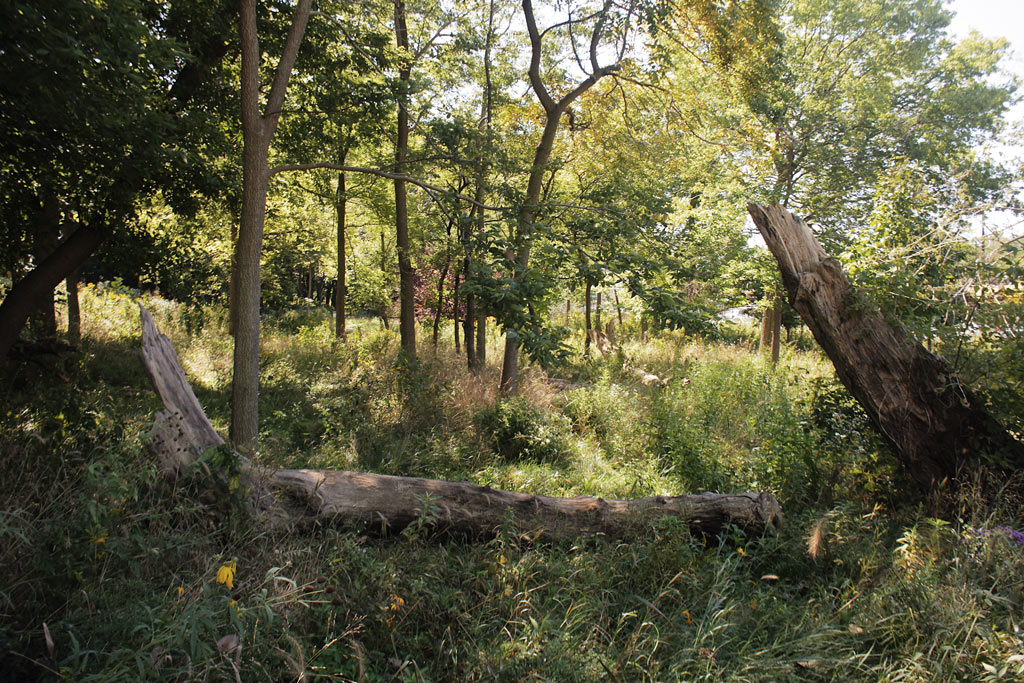 West Ridge Nature Preserve