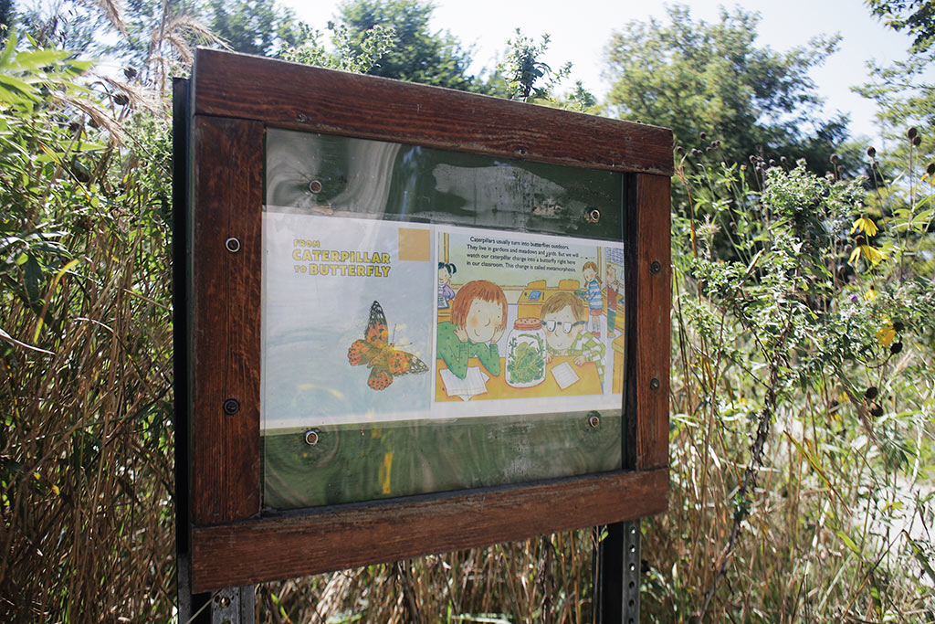 West Ridge Nature Preserve