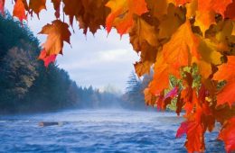 The Tahquamenon River with fall color in Tahquamenon Falls State Park near Newberry Michigan.