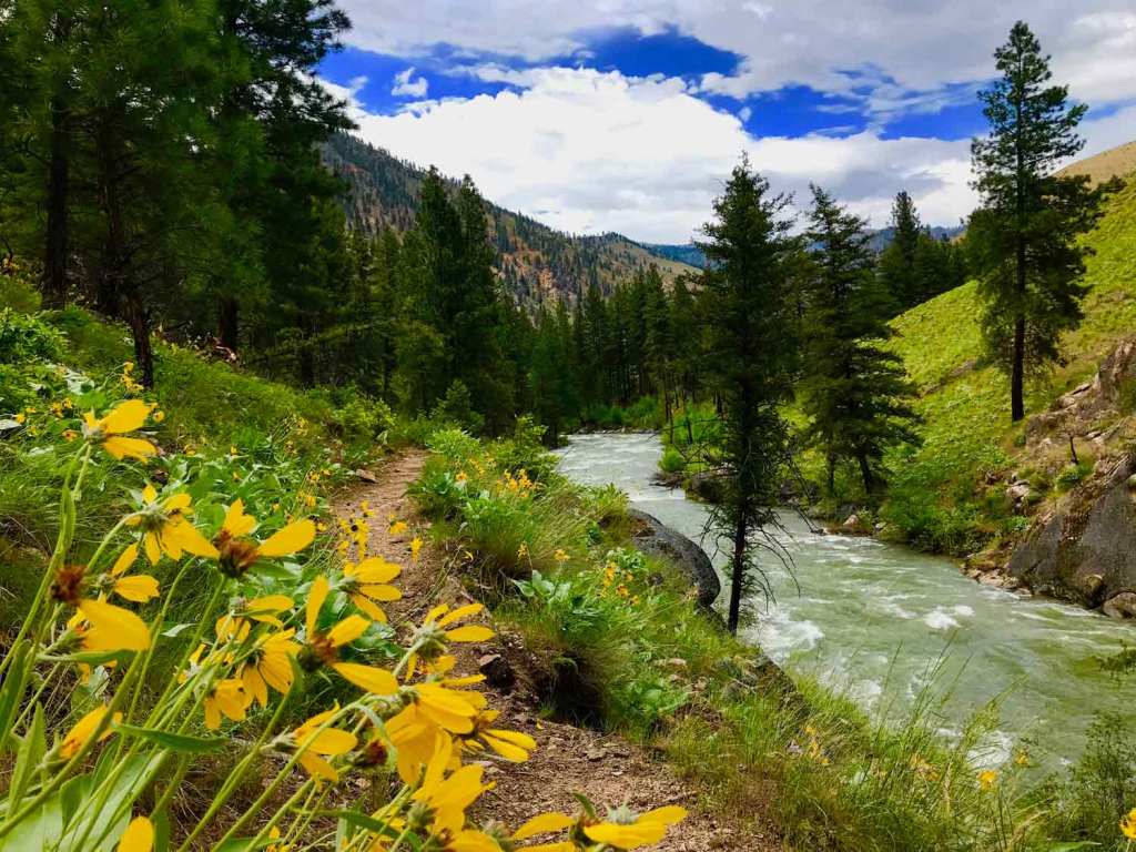 The view from the Loon Creek Trail, which runs along loud gray-emerald waters and leads to the trail’s namesake riverside hot springs. 