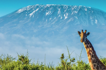Climbing Mount Kilimanjaro: The Best Routes