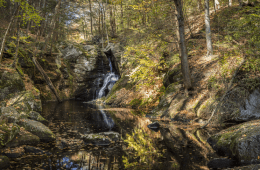 A forest in Granby, Connecticut with large rocks and a waterfall