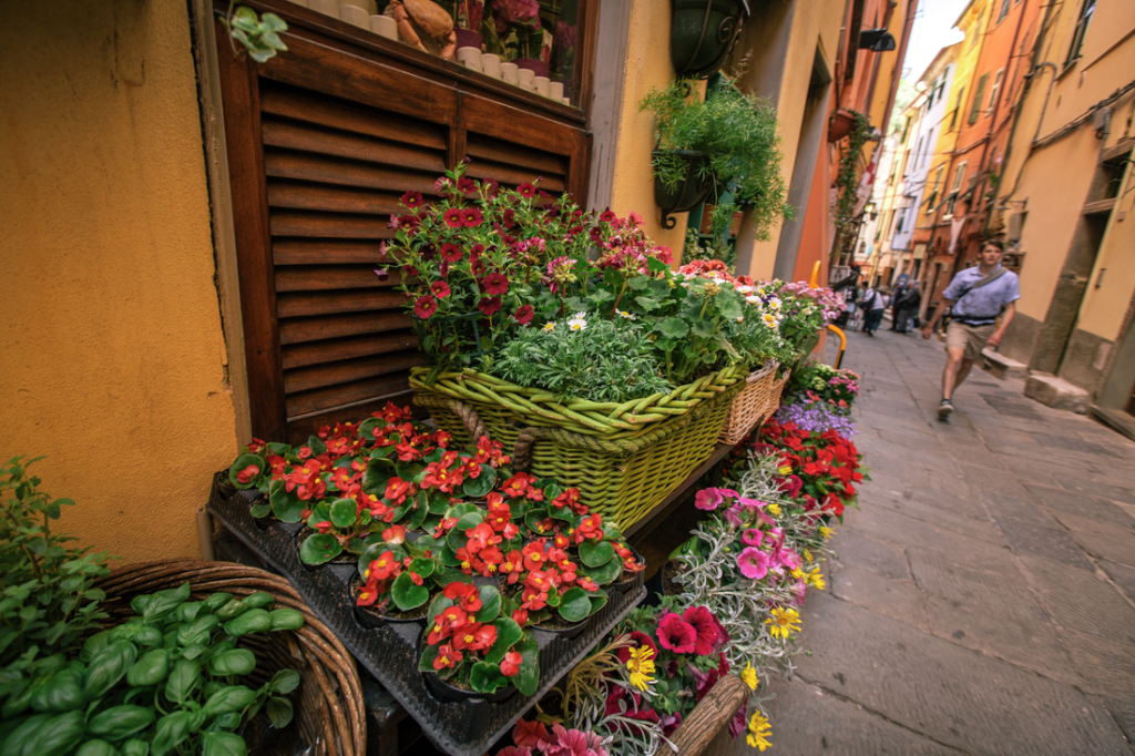 Flowers light up a Cinque Terre alleyway.