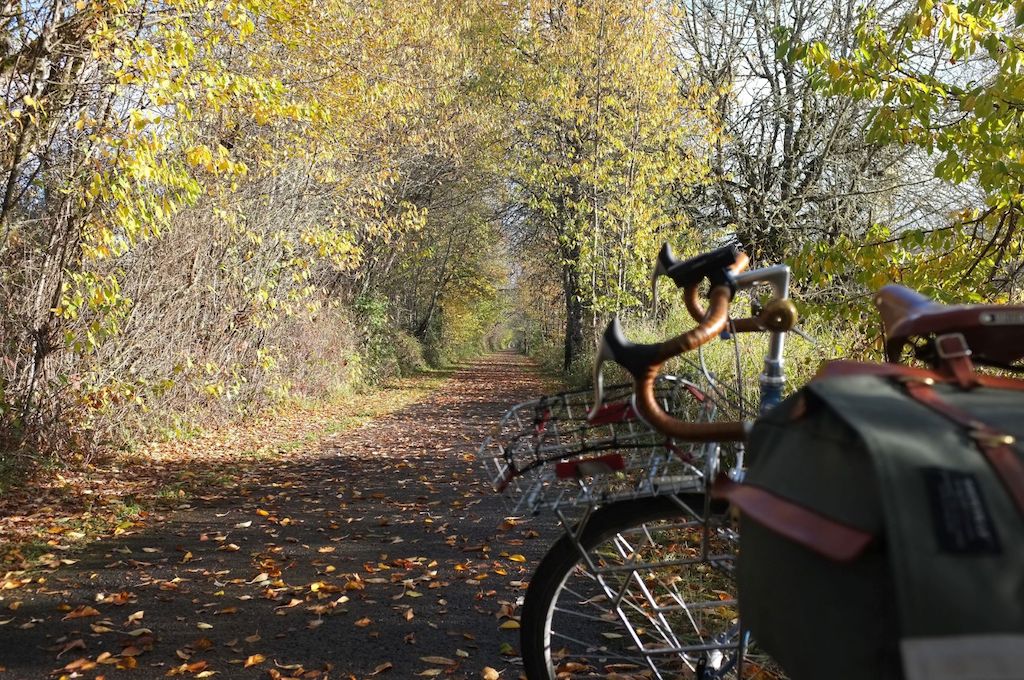 Banks-Vernonia Trail, near L.L. Stub Stewart State Park.