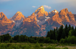 Teton alpenglow.