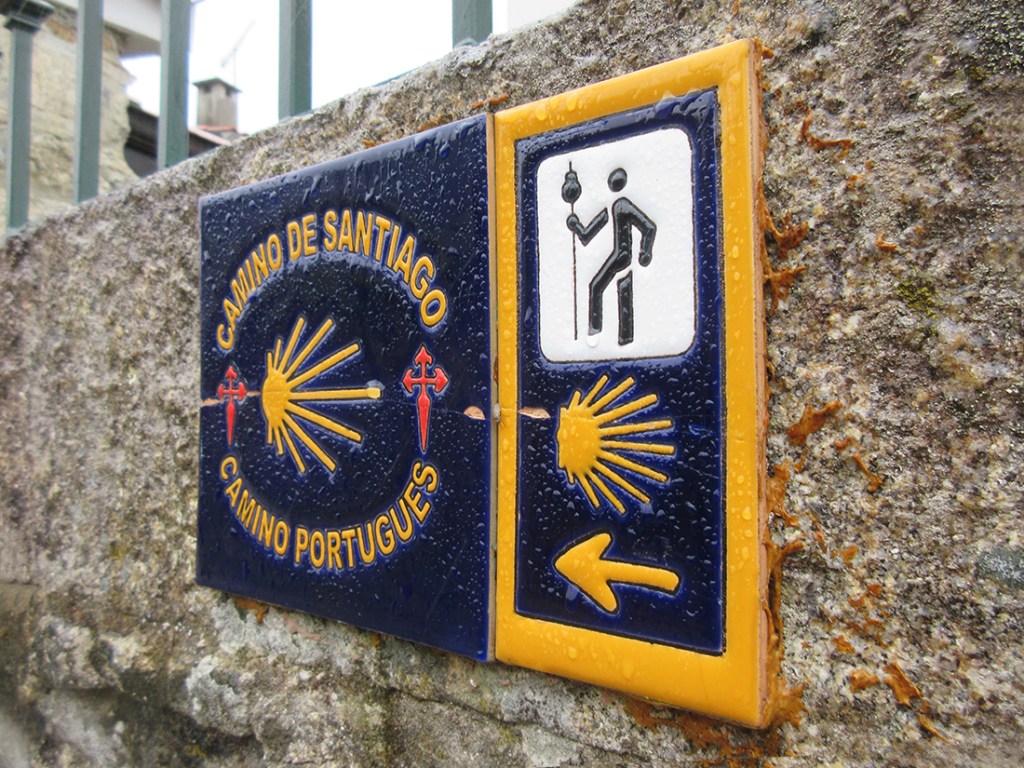 Camino scallop shell.