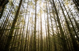 Op-Ed: Is Virtual Reality a Friend or Foe to Lovers of the Outdoors?