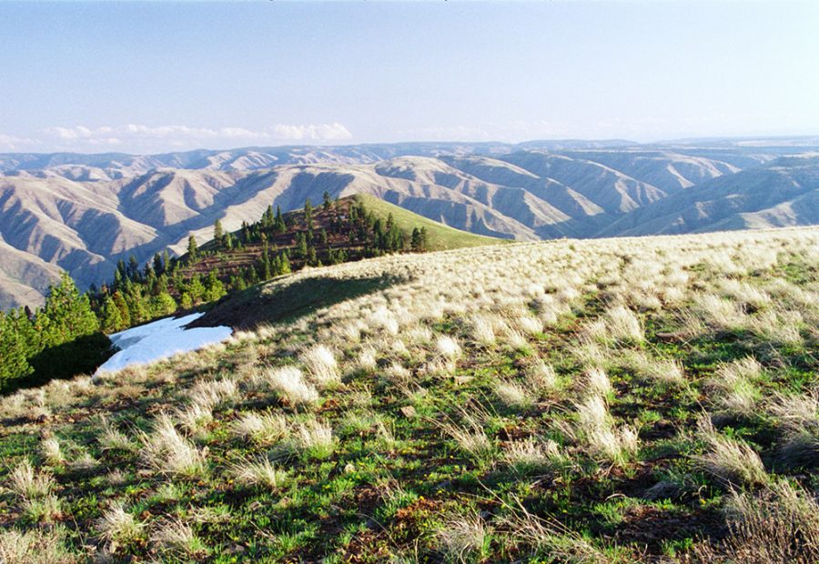 Puffer Butte.