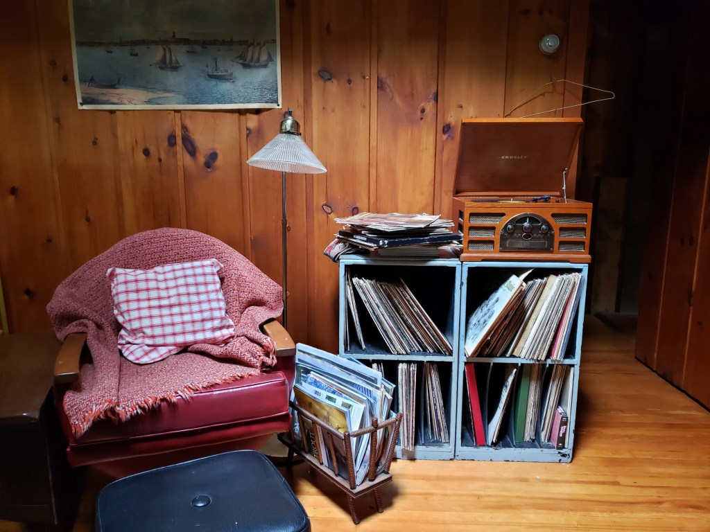 A cozy cabin with a comfy armchair, books to read and records to listen to.