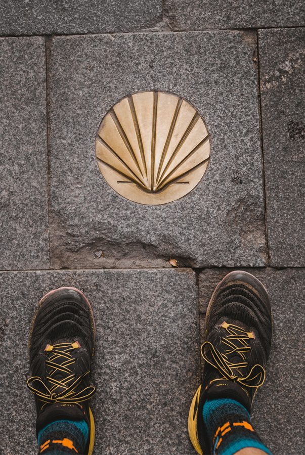 Scallop Shell waypoint marker.