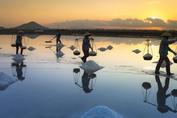 Sunset salt harvest.