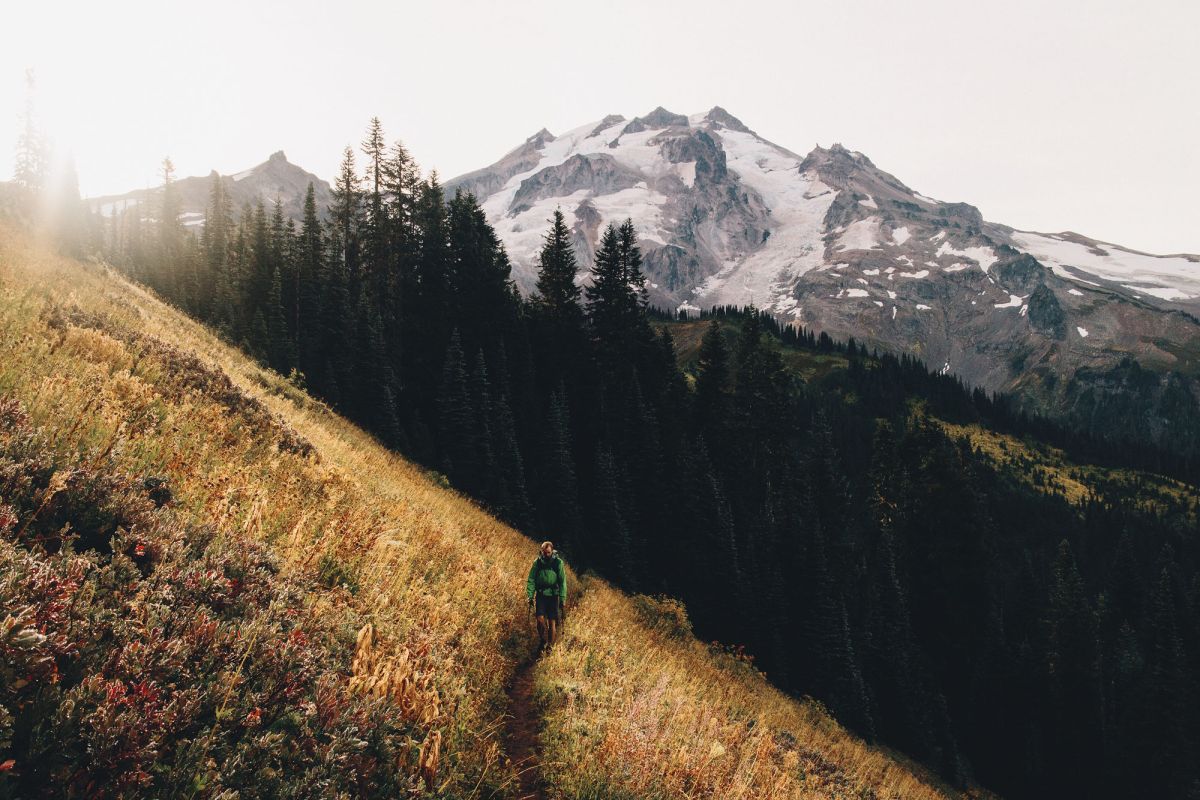 A solo hiker walks through a golden field with a huge mountain with snow on it as a backdrop.