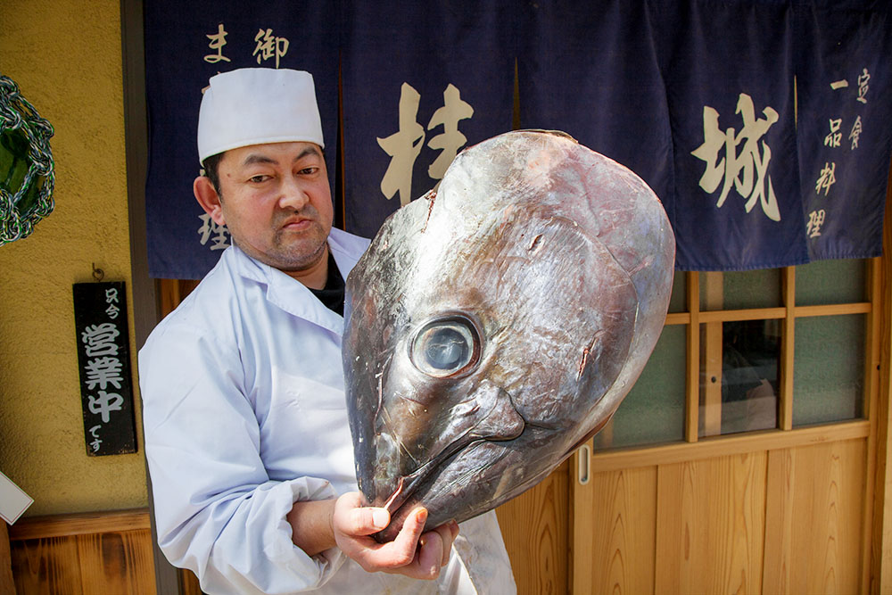 Bluefin tuna.