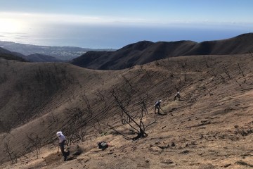 After the Blaze, A Trail’s New Beginnings