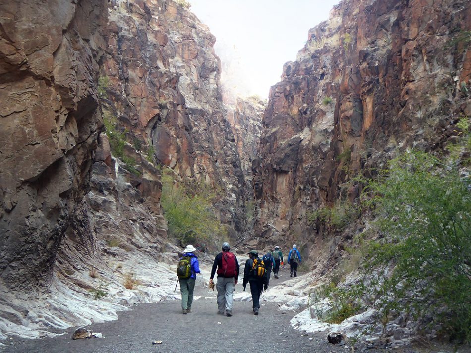 A group of hikers walks through a narrow canyon in Big Bend. 