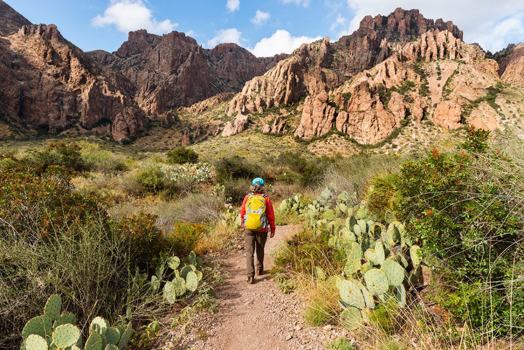 A hiker walks among cactus, yucca and stone in Big Bend National Park.