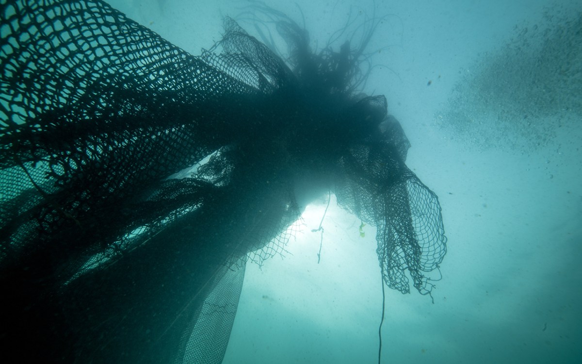 Fishing net floating in the blue sea.