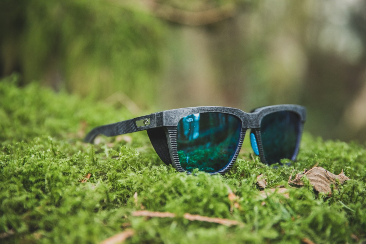 Sunglasses rest on moss.