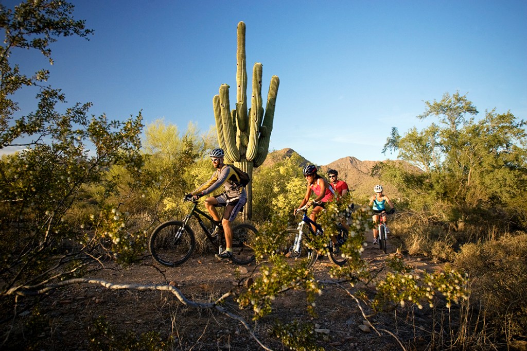 Mountain bikers with an REI Adventures trip enjoy the Sonoran Desert single track.