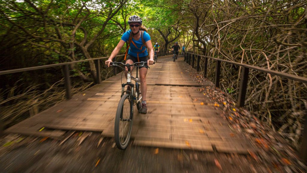 A cyclist crosses a bridge in the forest.