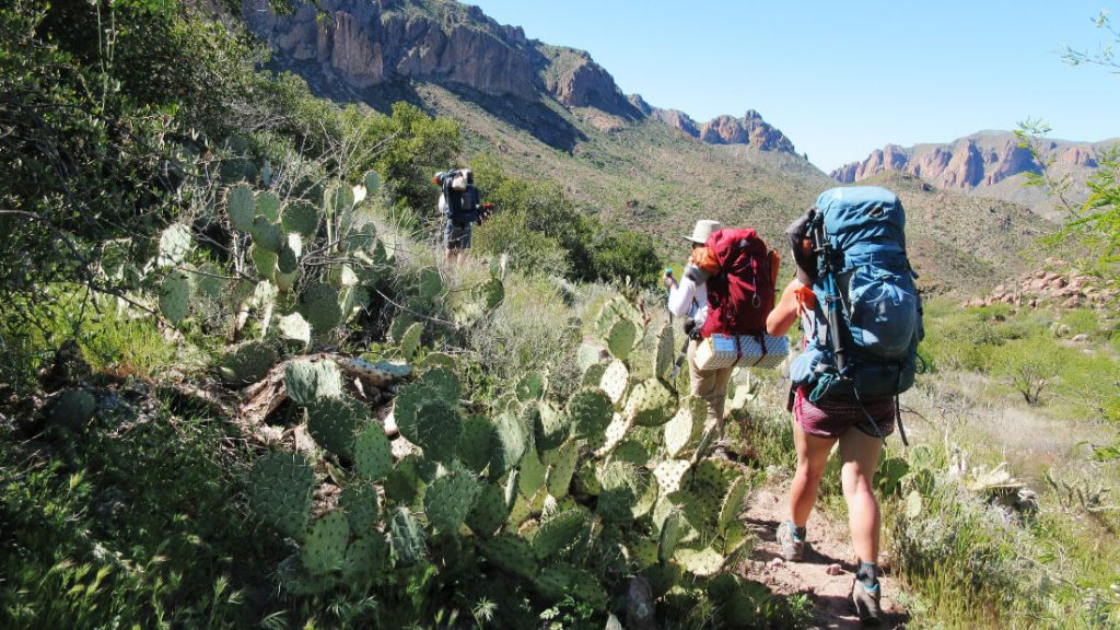 Backpackers with an REI Adventures women's trip hike thgrough the Superstition Mountains.