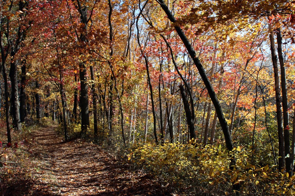 Indiana Dunes National Park 