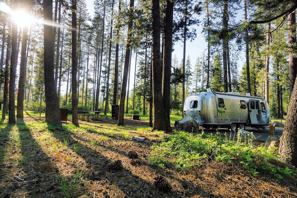 An Airstream trailer parked in the middle of a forest with sunlight streaming all around