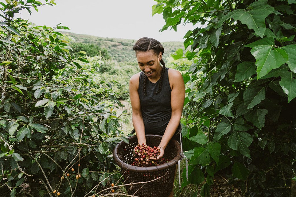Sifting through one of the country's most important crops, a traveler visits a coffee farm in Costa Rica.