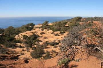 View of Torrey Pines State Reserve