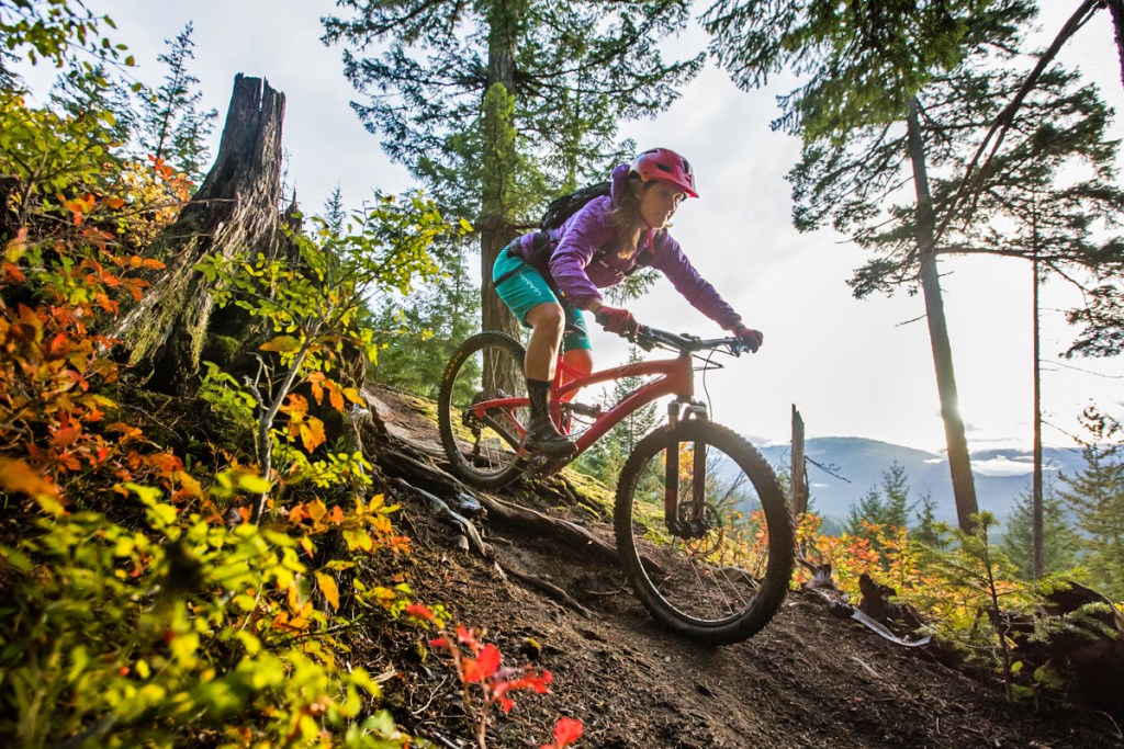 A mountain biker on an REI Adventures trip sessions the world-renowned Whistler Bike Park.