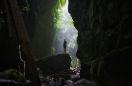 Steve Bramucci standing on a rock in the rainforest.