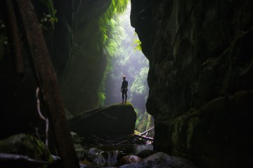 Steve Bramucci standing on a rock in the rainforest.