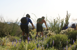 4 Things to Get Excited About for Mountain Bike Season