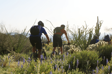 4 Things to Get Excited About for Mountain Bike Season