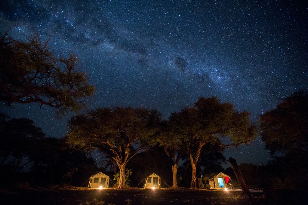 A sky of stars twinkle down on an REI Adventures camp deep in Botswana. 
