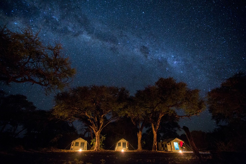 A sky of stars twinkle down on an REI Adventures camp deep in Botswana.