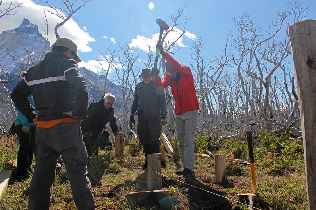 A volunteer team member hammers down on a supporting wood peg. 