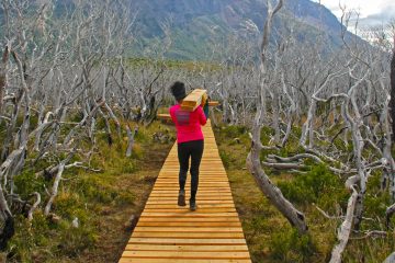 A female volunteer carries a piece of lumber to the end of the worksite.