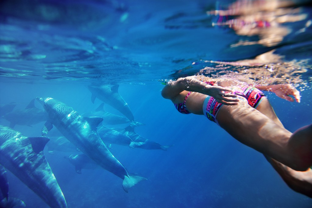 A woman on an REI Adventures trip swims with dolphins off the coast of Mozambique.