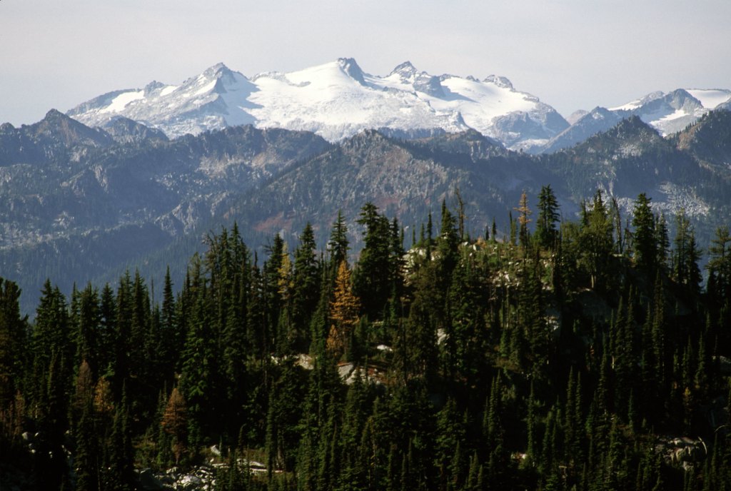 A snow covered mountain range with trees in the front.