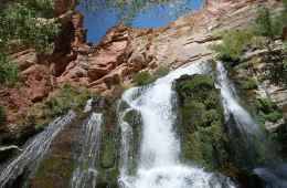 Thunder Falls cascades from a cave mouth high above the canyon floor.