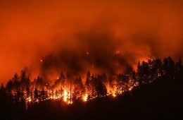 A hillside on fire due to the Eagle Creek Wildfire.