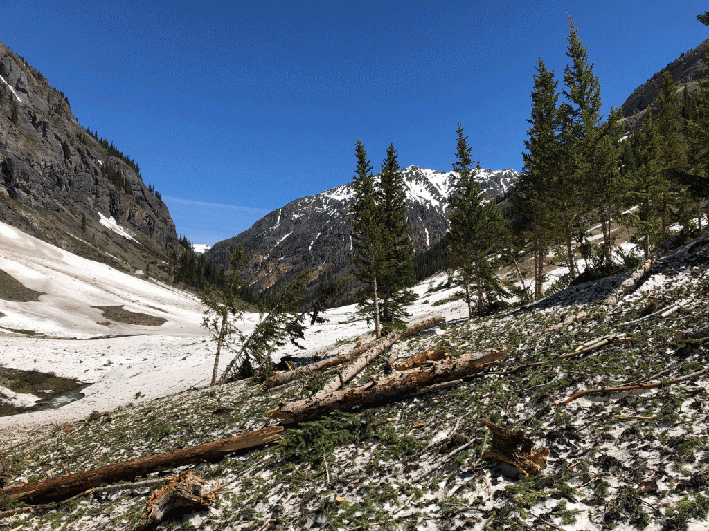 Debris caused by an avalanche lines a mountain slope under a bright-blue sky