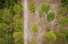 Shifting Focus