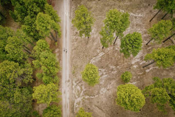 Shifting Focus