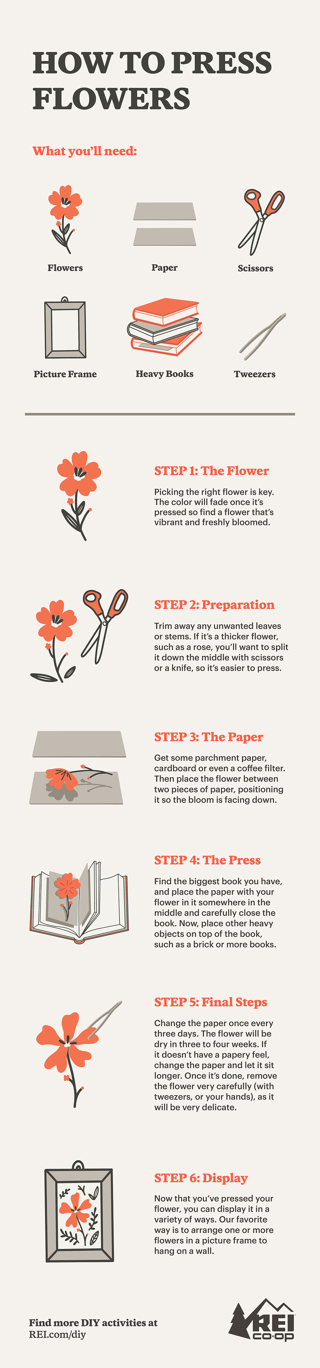 How to Press a Flower