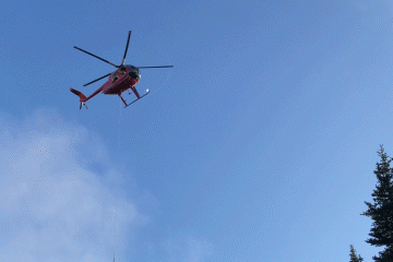 A helicopter descends on Olympic National Park to begin translocating goats to the North Cascades