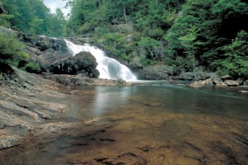 A rushing waterfall depositing into a transparent pond surrounded by green trees