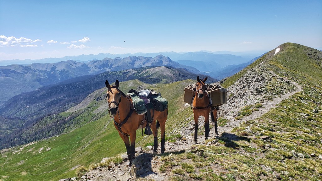 Shyla and Takoda in front of a beautiful green landscape.